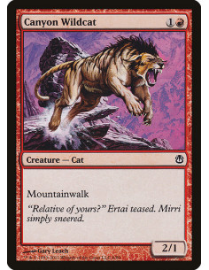 Canyon Wildcat