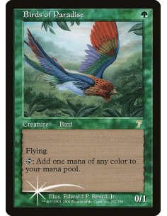 Birds of Paradise - Foil