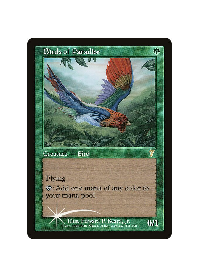 Birds of Paradise - Foil