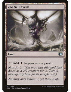 Zoetic Cavern