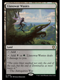 Llanowar Wastes