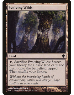 Evolving Wilds