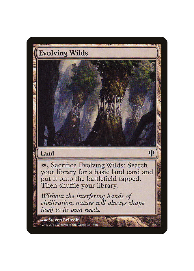 Evolving Wilds