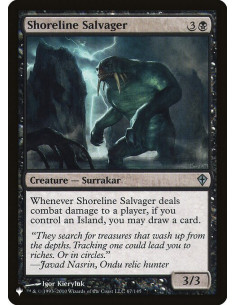 Shoreline Salvager