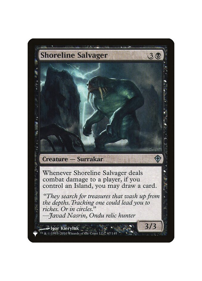 Shoreline Salvager