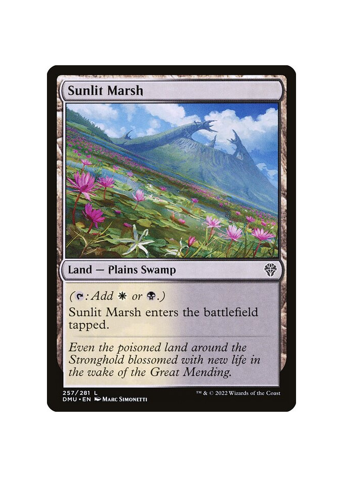Sunlit Marsh - Foil