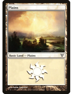 Plains
