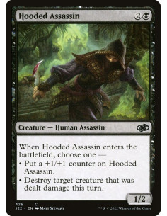Hooded Assassin