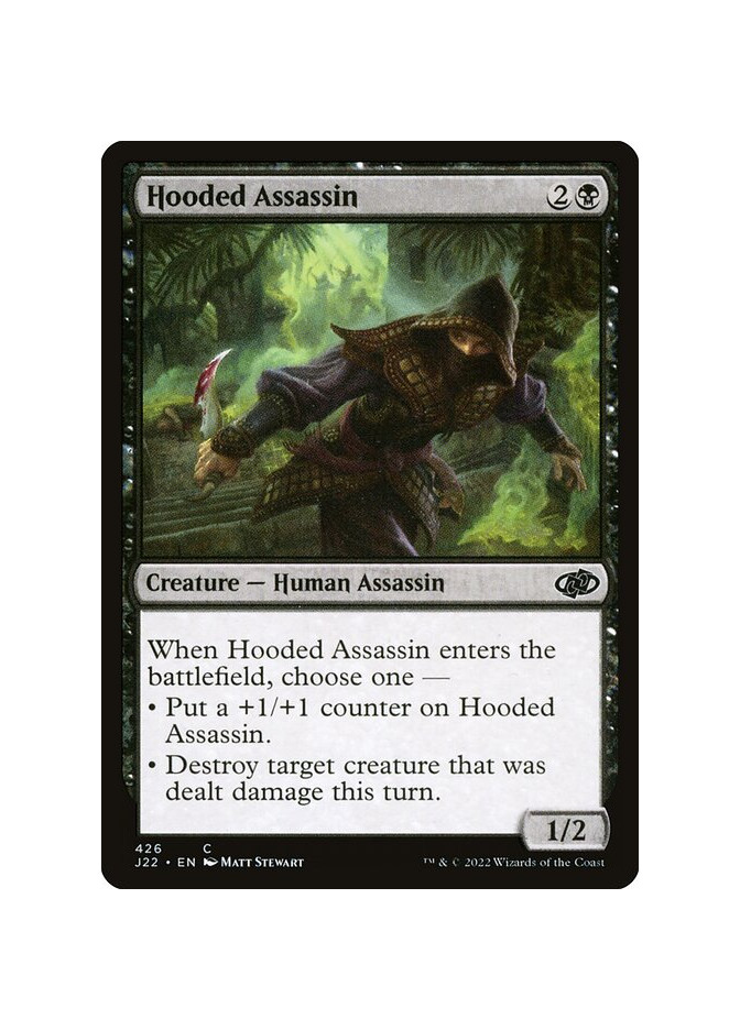 Hooded Assassin
