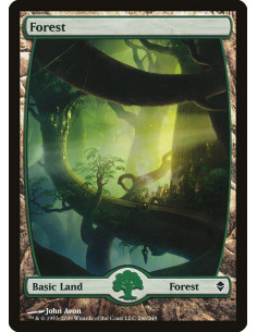 Forest - Foil