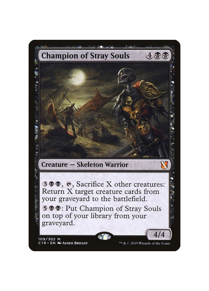 Champion of Stray Souls