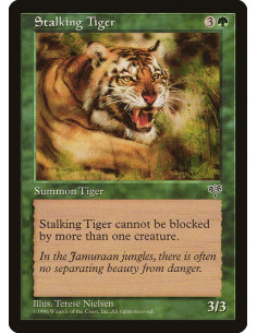 Stalking Tiger