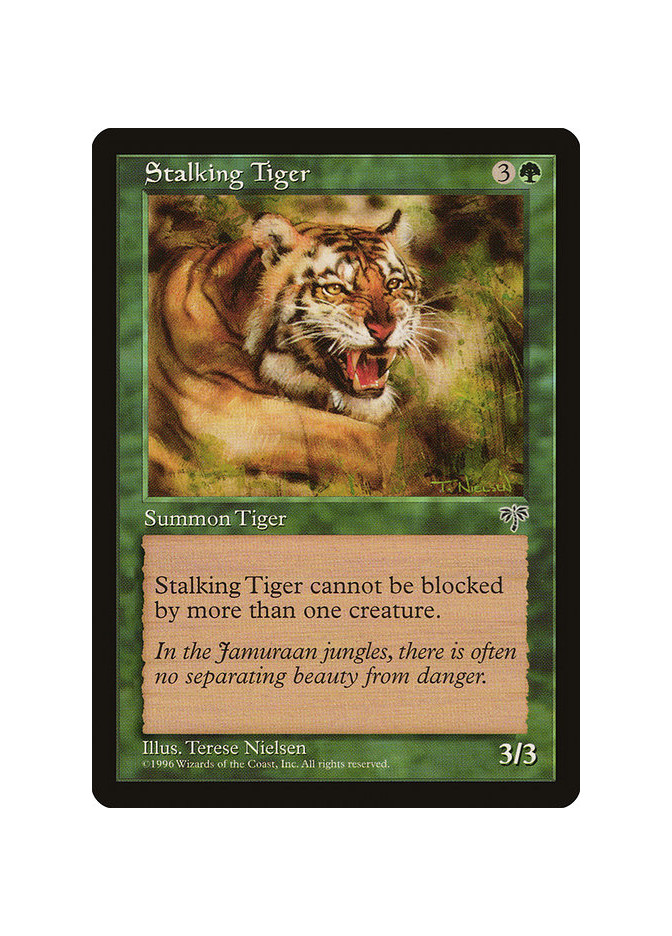 Stalking Tiger