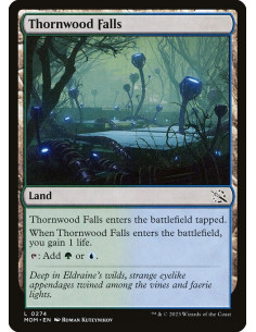 Thornwood Falls - Foil