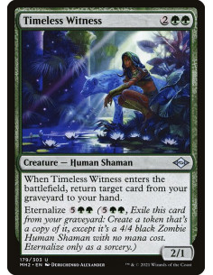 Timeless Witness