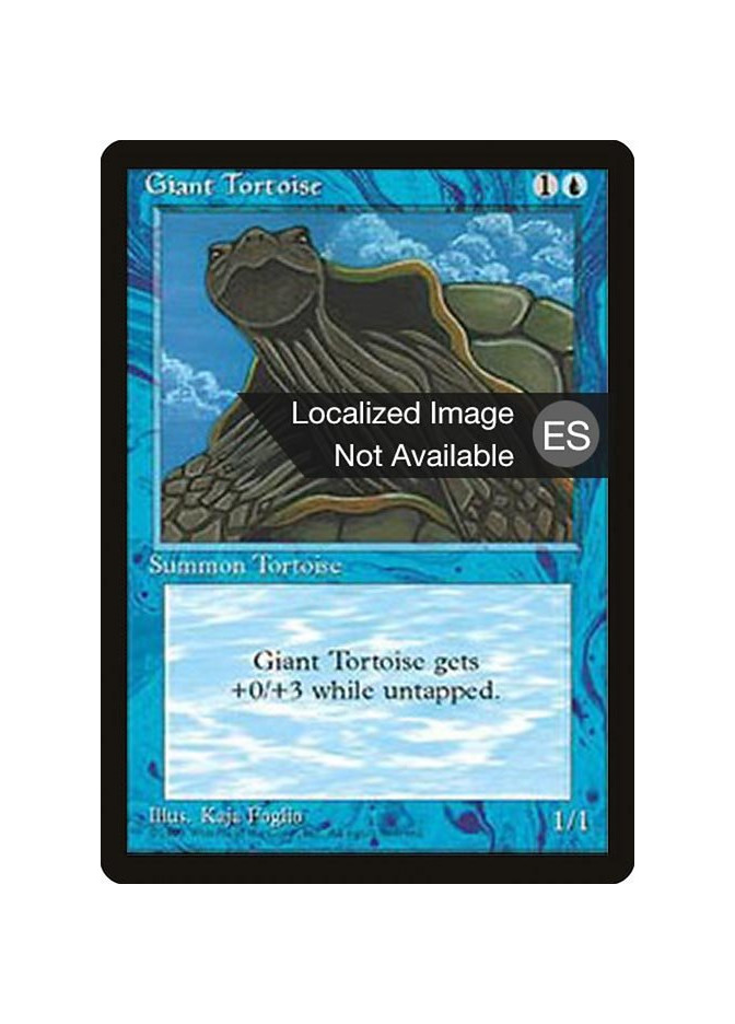 Giant Tortoise