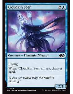 Cloudkin Seer