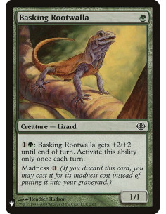 Basking Rootwalla