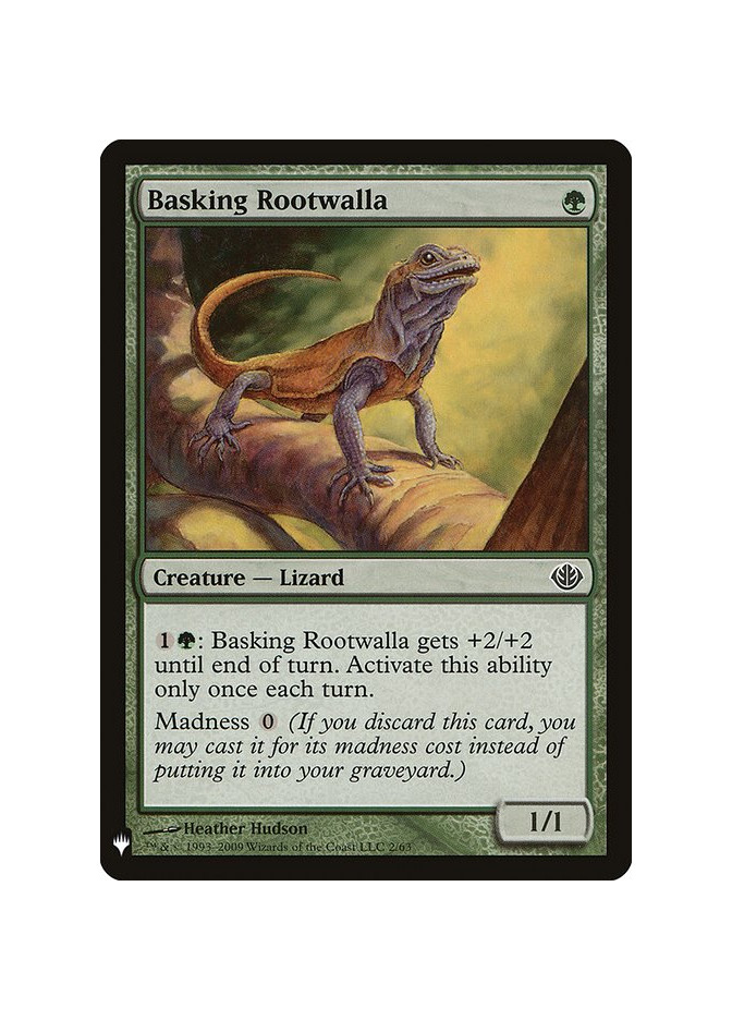 Basking Rootwalla