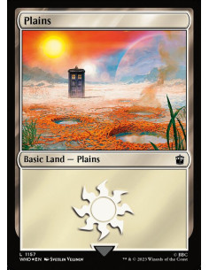 Plains - Foil