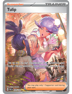 Tulip