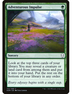 Adventurous Impulse - Foil