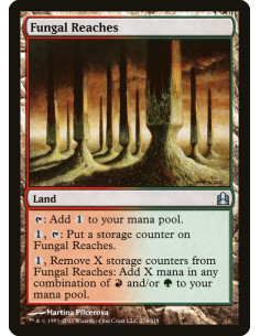 Fungal Reaches