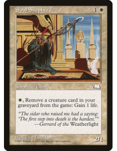 Soul Shepherd