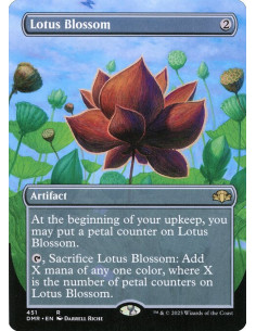 Lotus Blossom