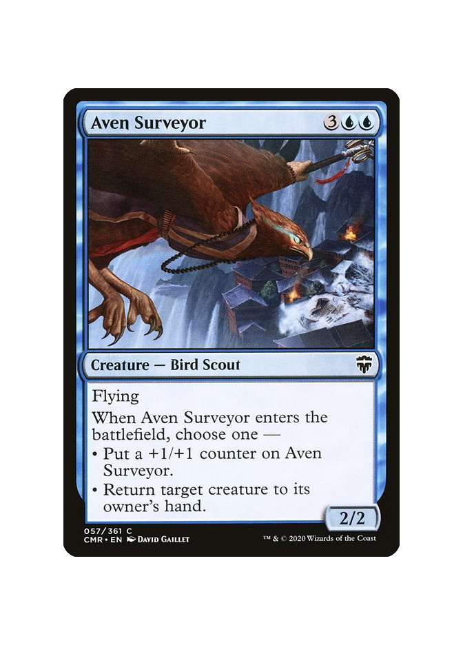 Aven Surveyor