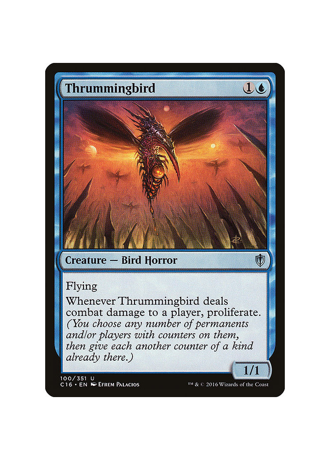 Thrummingbird