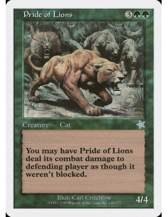 Pride of Lions