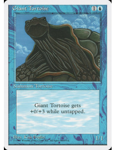 Giant Tortoise