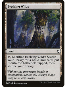 Evolving Wilds