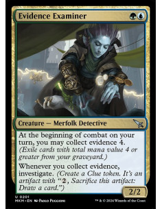 Evidence Examiner - Foil