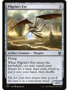 Pilgrim's Eye