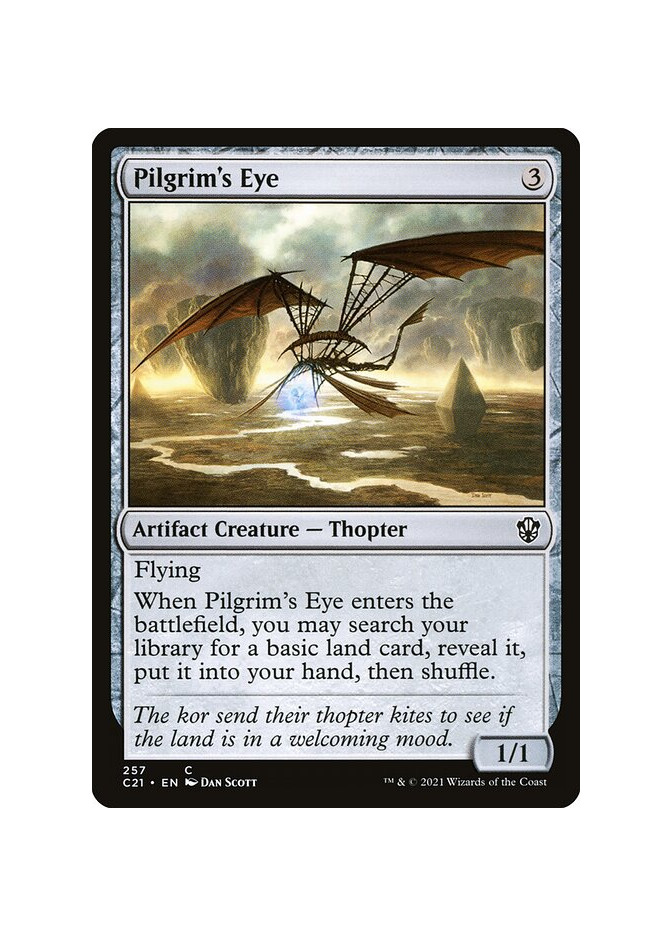Pilgrim's Eye