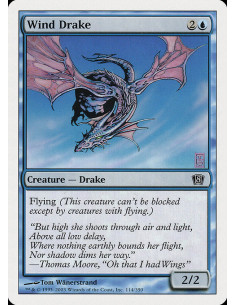 Wind Drake