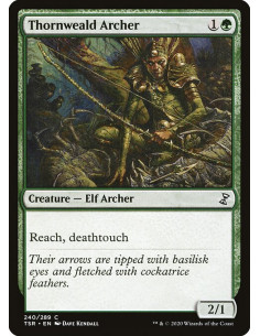 Thornweald Archer - Foil