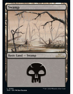Swamp