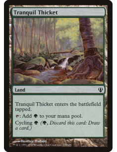 Tranquil Thicket