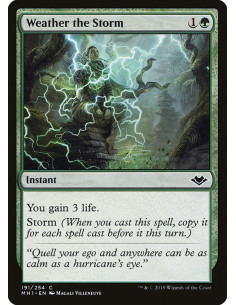 Weather the Storm - Foil