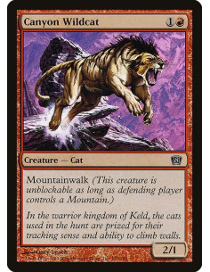 Canyon Wildcat - Foil