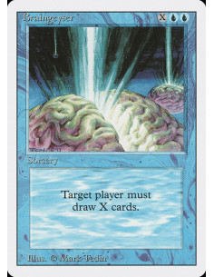 Braingeyser