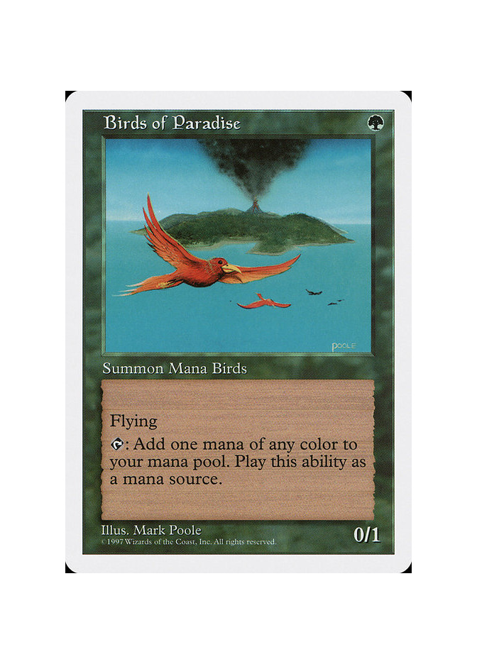 Birds of Paradise