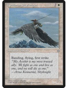 Kjeldoran Skyknight