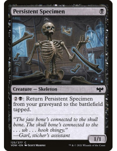 Persistent Specimen - Foil