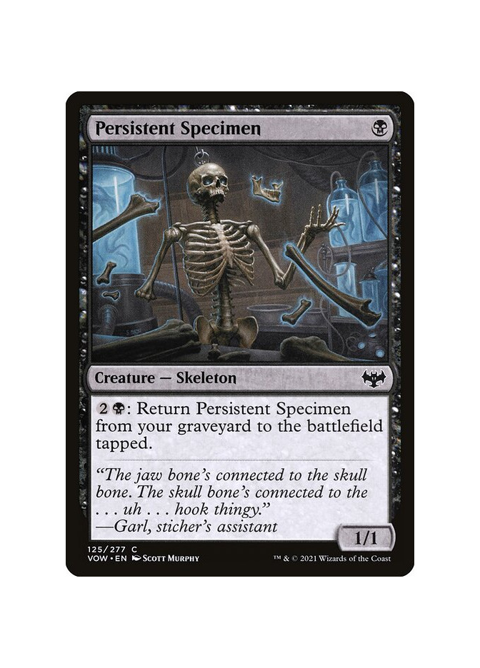 Persistent Specimen - Foil