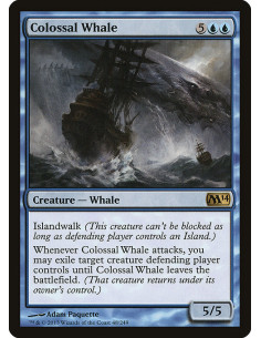 Colossal Whale - Foil