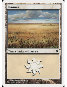 Plains